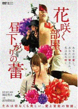 午夜久久久久久久 后窗